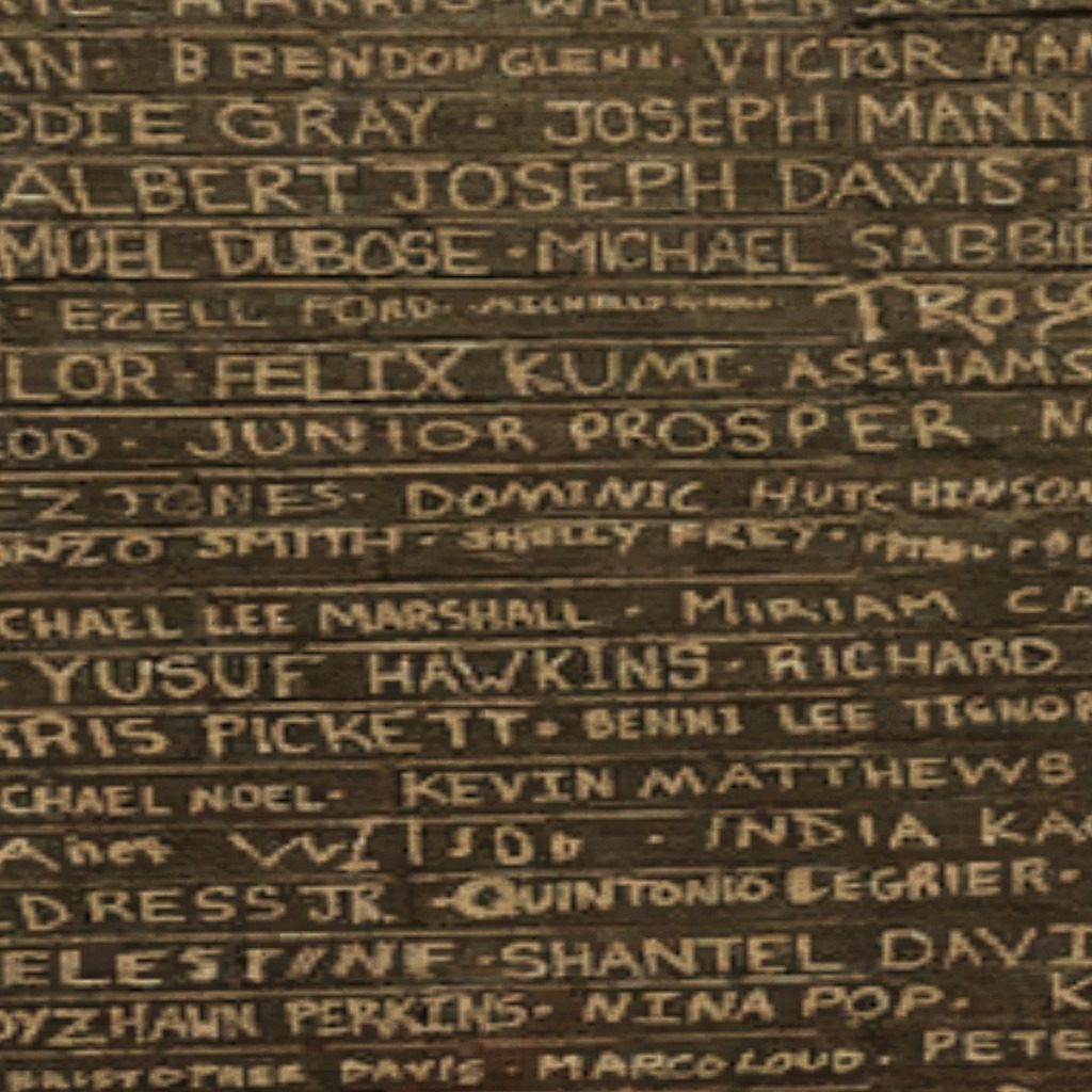 Resident Metabrookhawk expressing concern about Police brutality in 'real life'. None of that here.